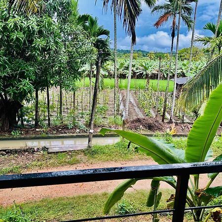 Blue Mountains View Appartement Dambulla Buitenkant foto
