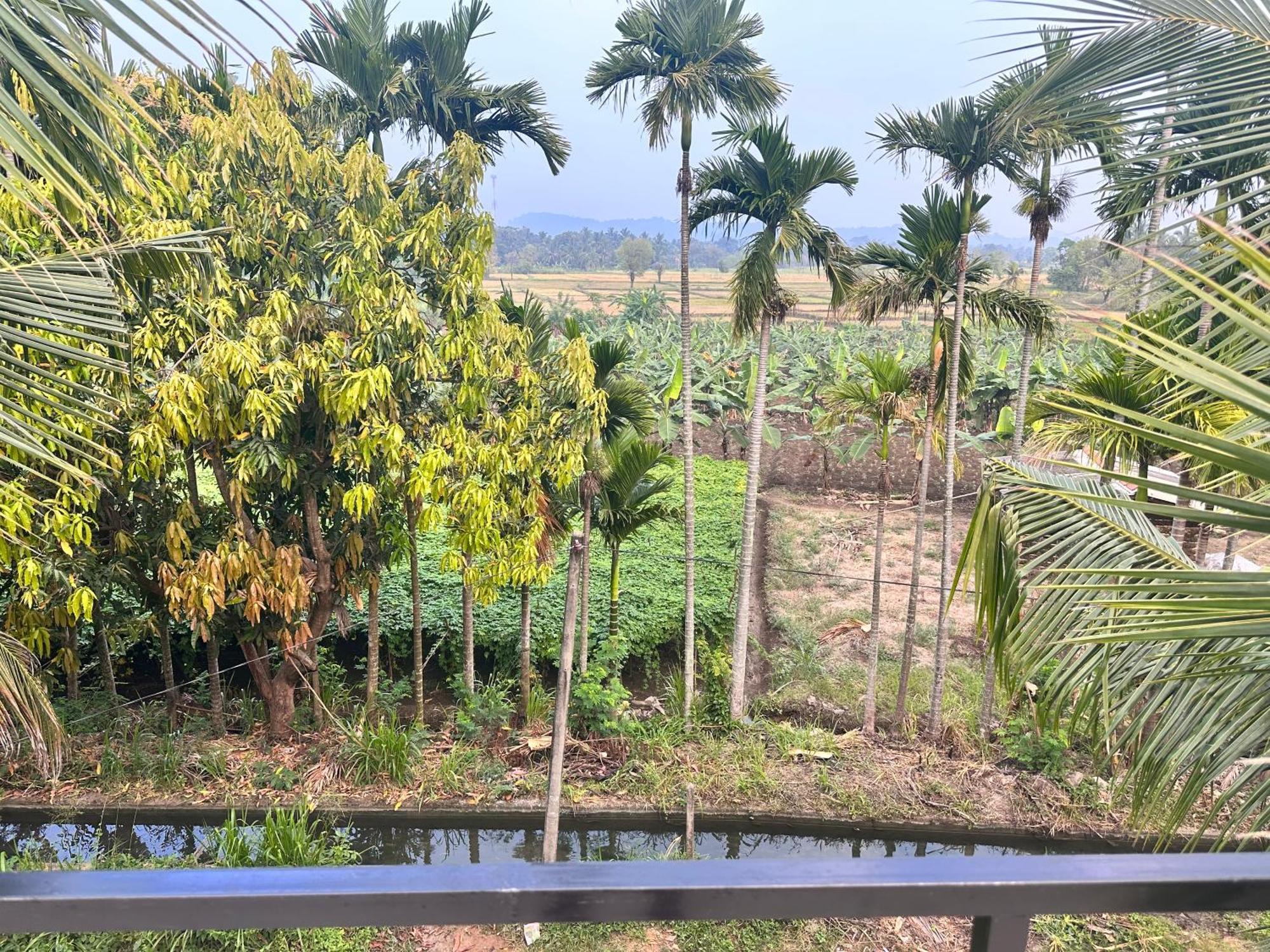 Blue Mountains View Appartement Dambulla Buitenkant foto