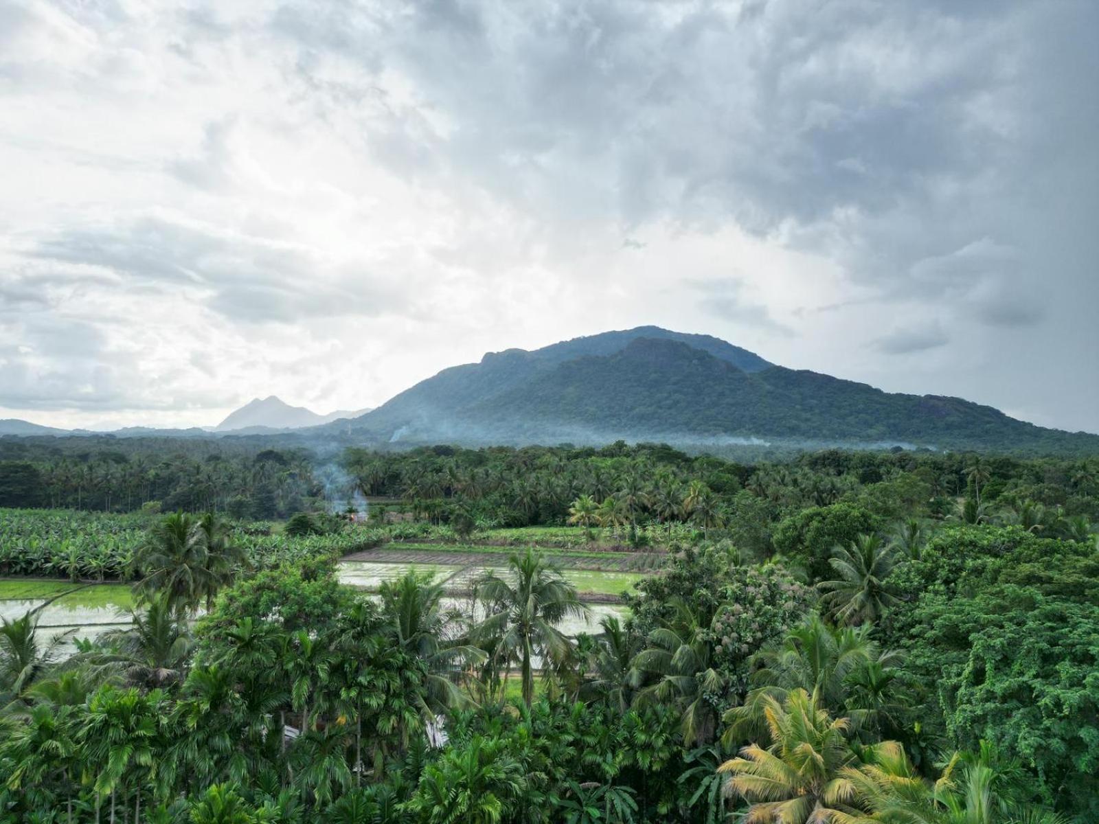 Blue Mountains View Appartement Dambulla Buitenkant foto
