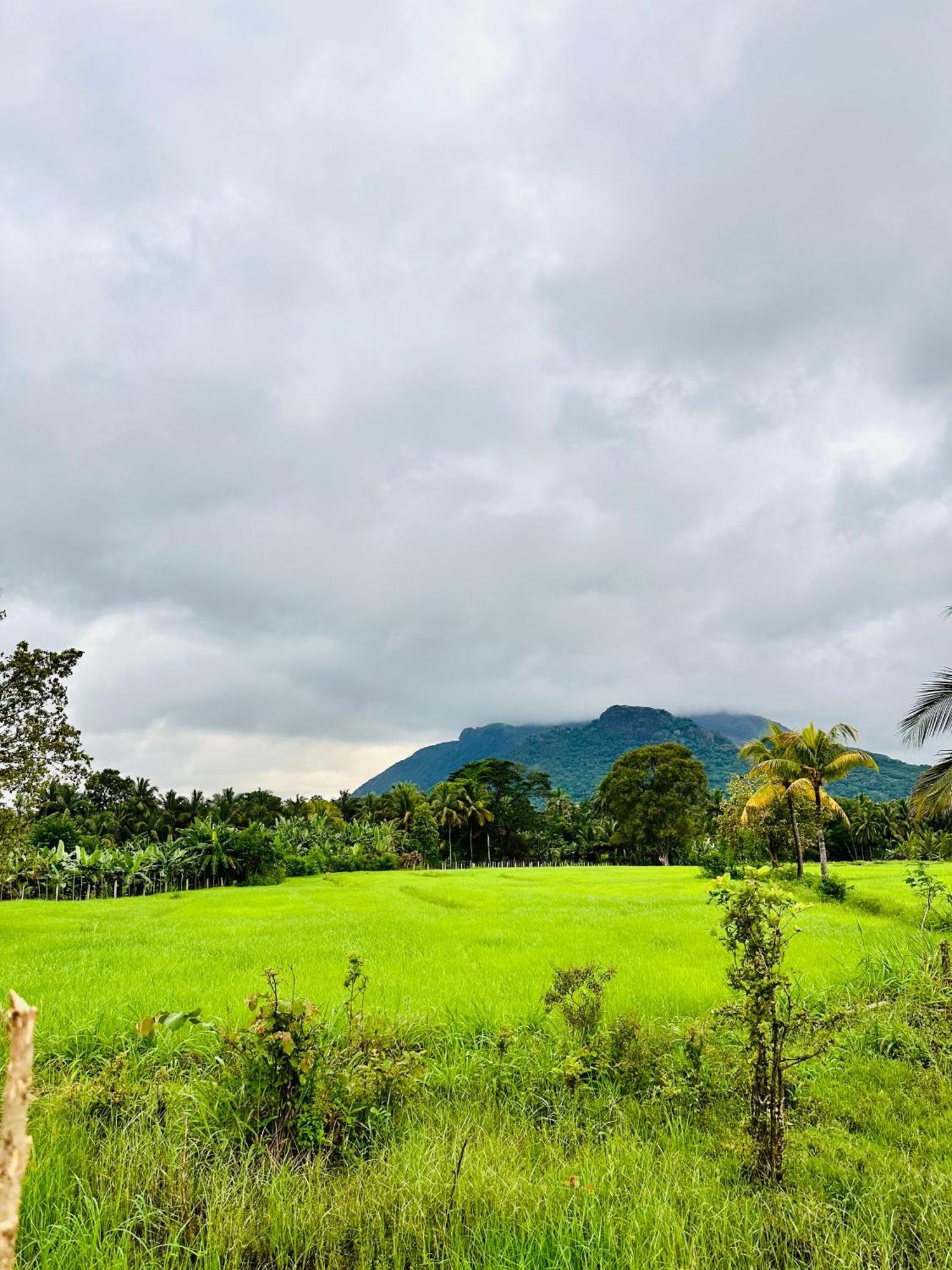 Blue Mountains View Appartement Dambulla Buitenkant foto