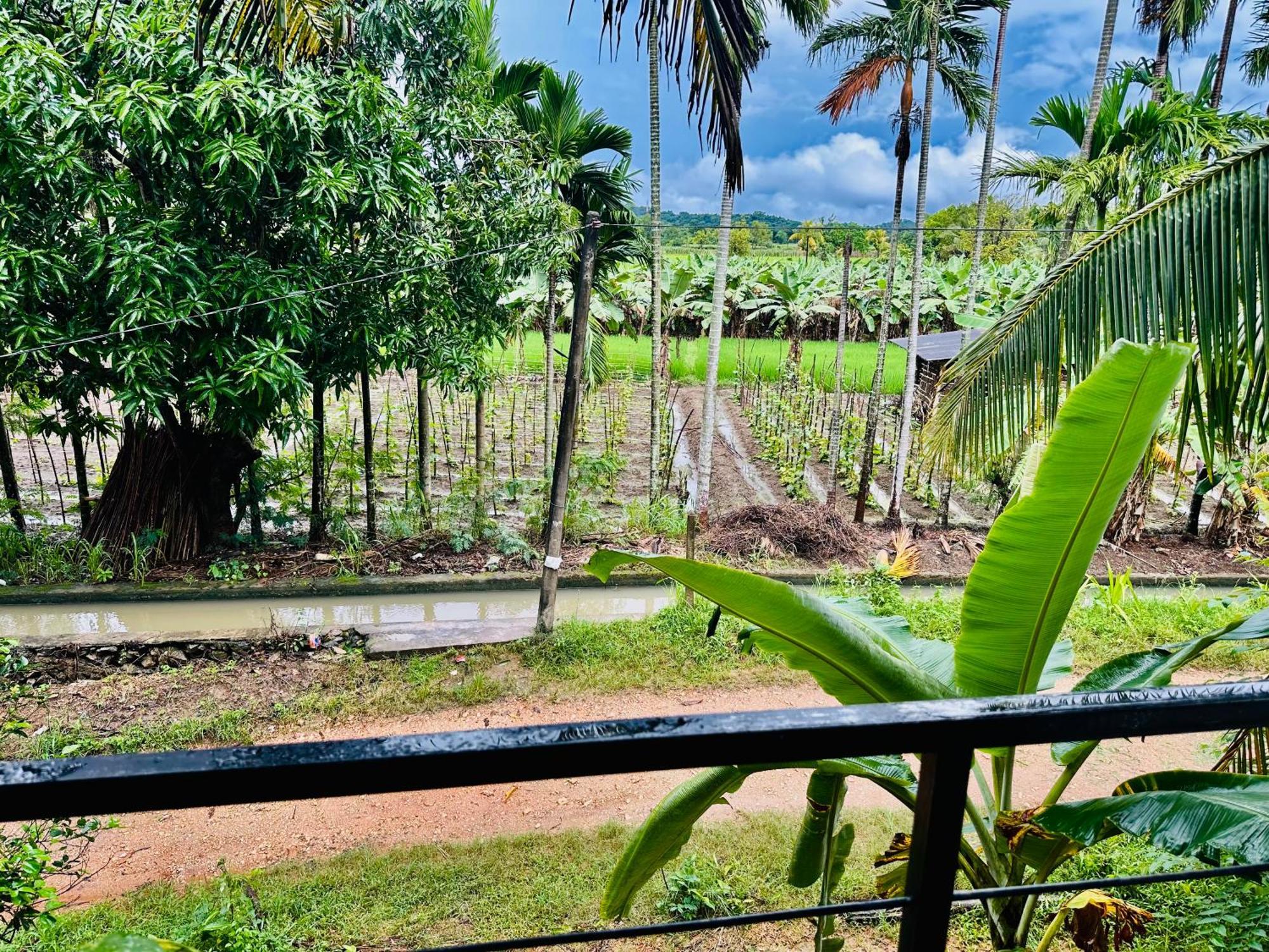 Blue Mountains View Appartement Dambulla Buitenkant foto