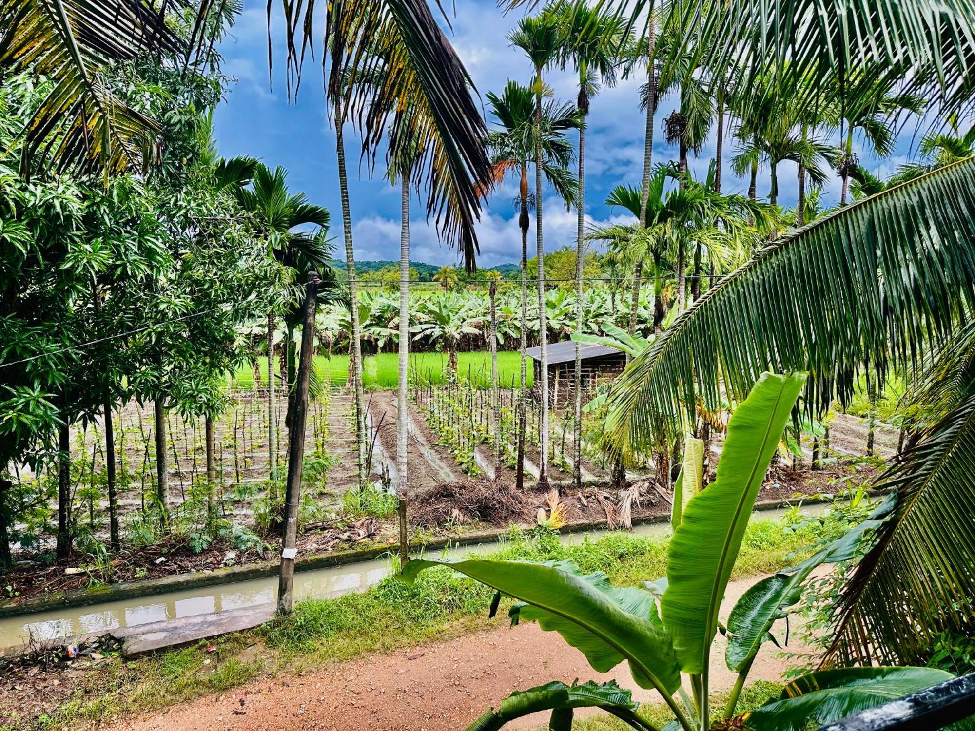 Blue Mountains View Appartement Dambulla Buitenkant foto