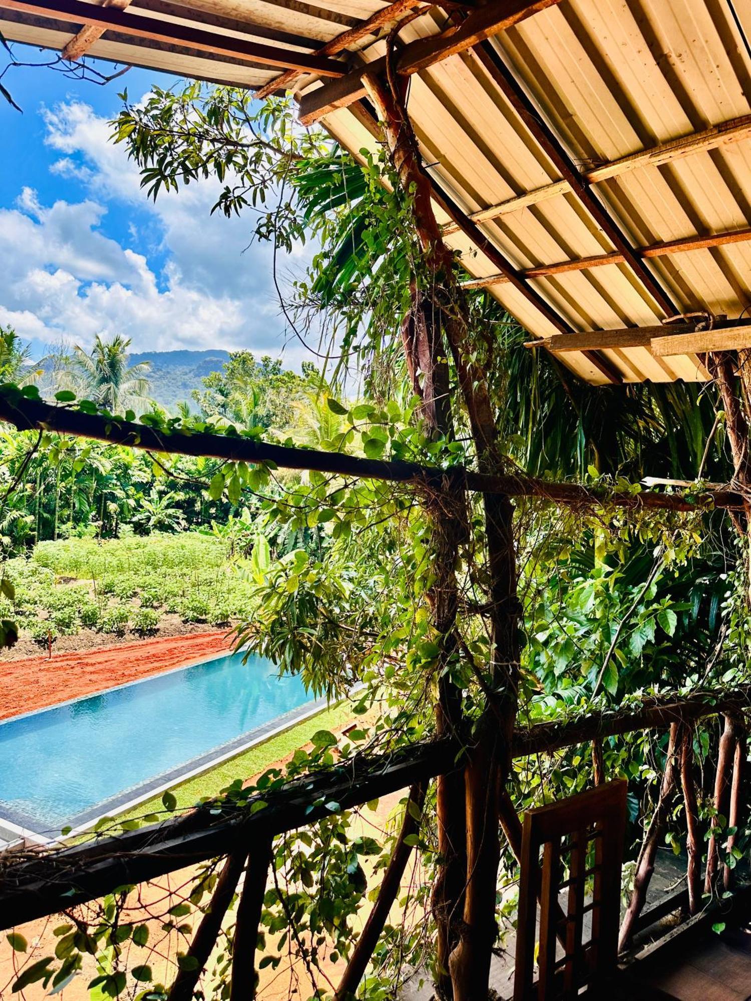 Blue Mountains View Appartement Dambulla Buitenkant foto