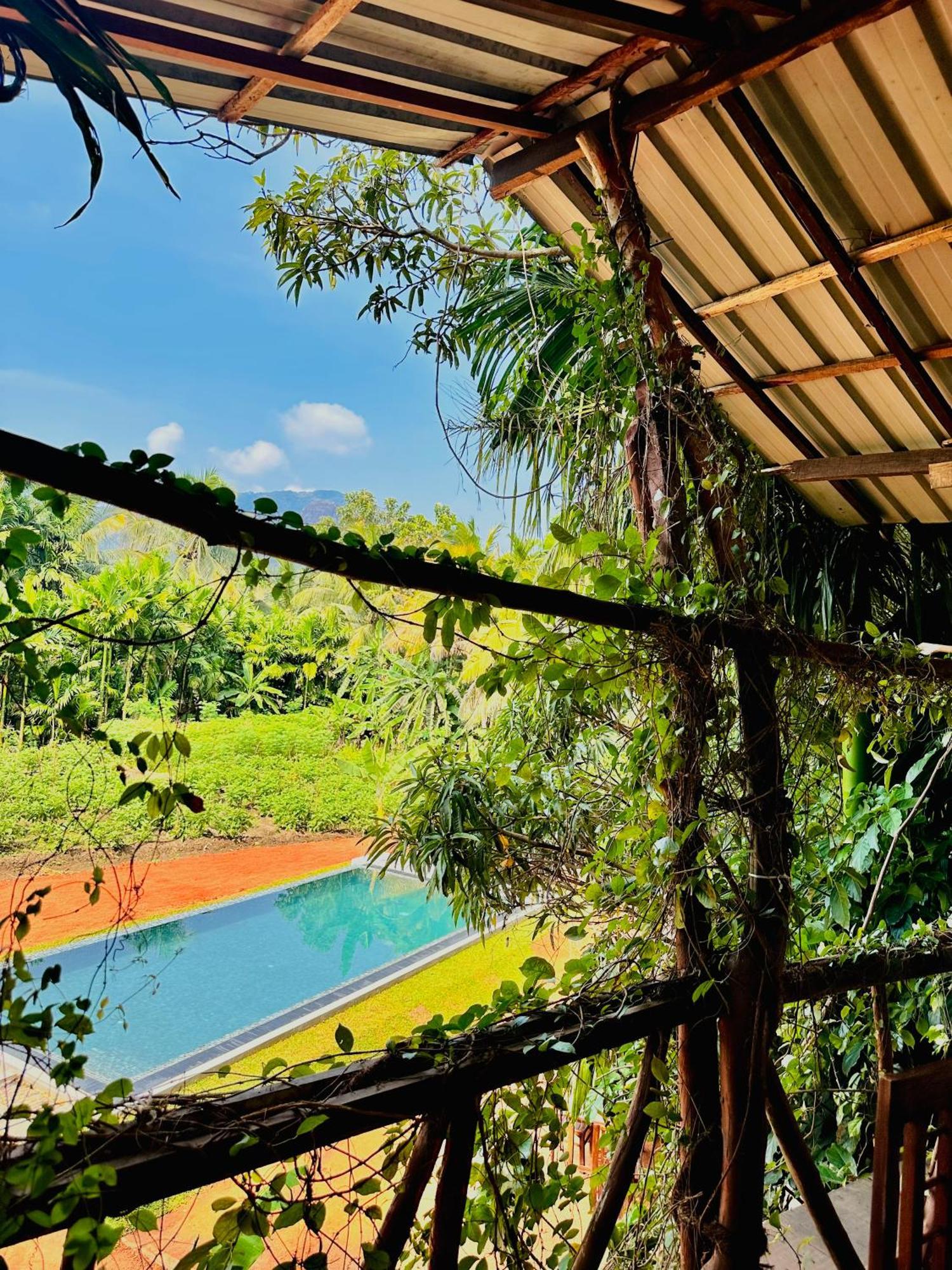 Blue Mountains View Appartement Dambulla Buitenkant foto