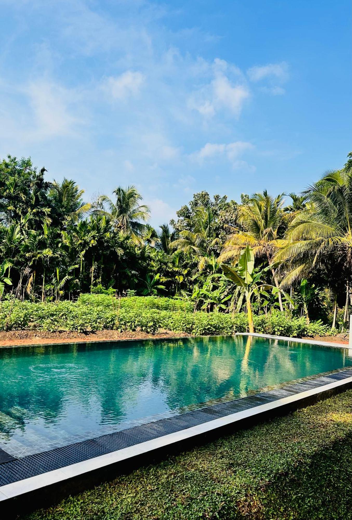 Blue Mountains View Appartement Dambulla Buitenkant foto