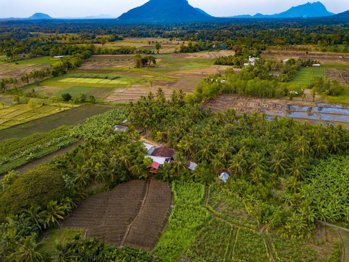 Blue Mountains View Appartement Dambulla Buitenkant foto
