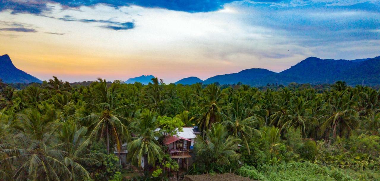 Blue Mountains View Appartement Dambulla Buitenkant foto