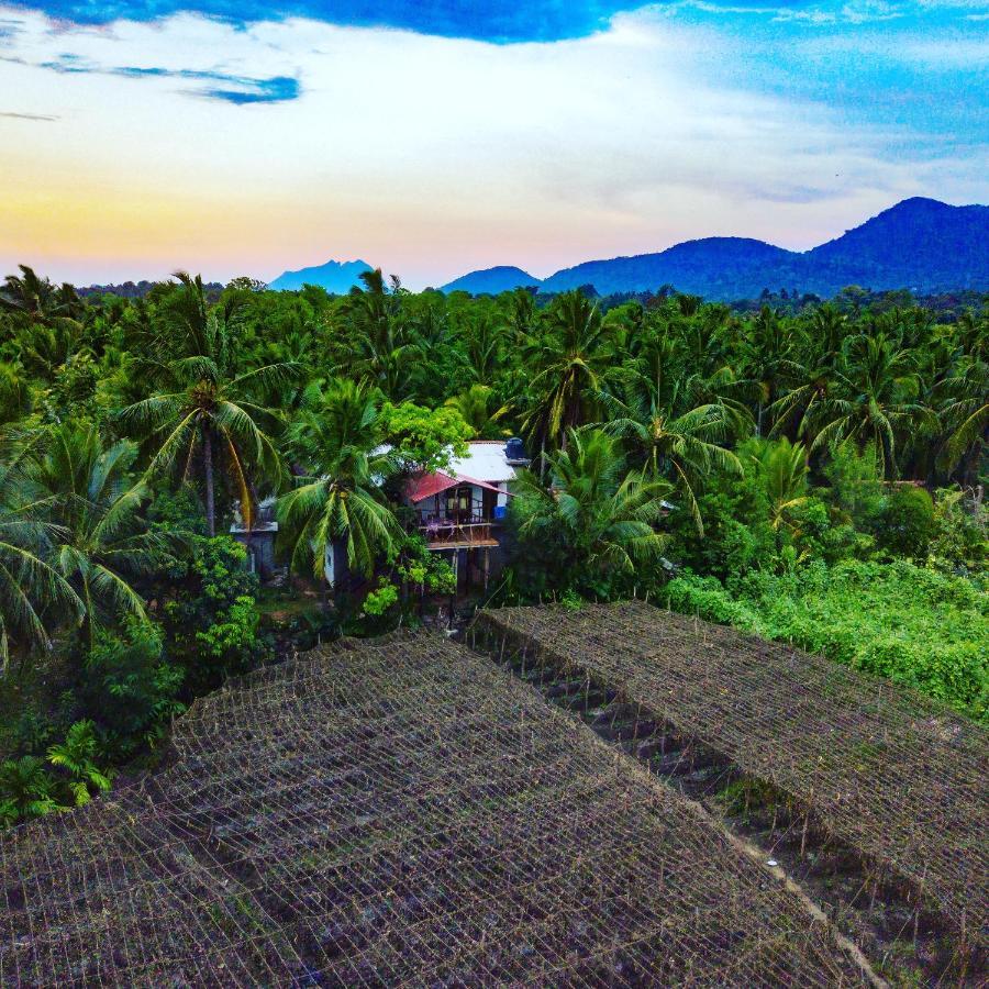 Blue Mountains View Appartement Dambulla Buitenkant foto